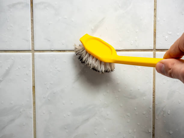 Best Mold Testing  in Orange, TX