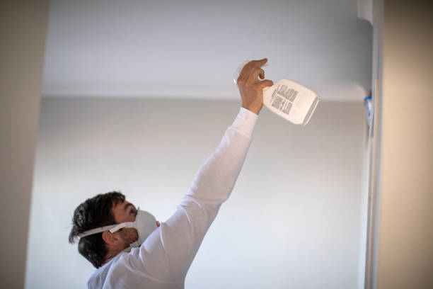 Crawl Space Mold Removal in Orange, TX
