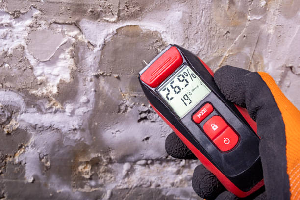  Orange, TX Mold Removal Pros