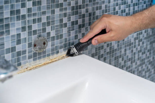 Mold Removal and Inspection in Orange, TX