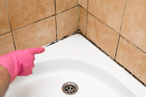Best Mold Cleaning Services  in Orange, TX